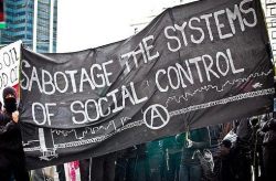 282625_409360552435862_1063253349_n