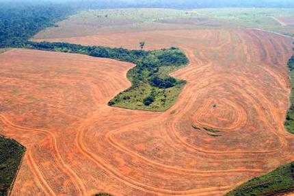 amazon_deforestation