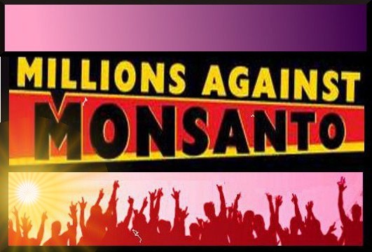 monsanto no