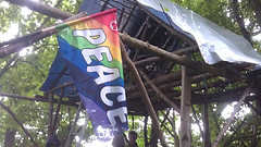 7488318350_0ec9f51cb9_m