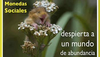 Integral CoOps,15M and Occupy.. an embryo for Post Capitalism?