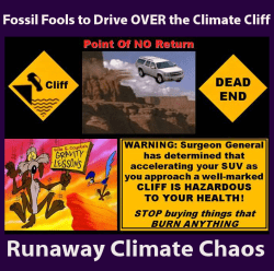 Global Warming Point of No Return