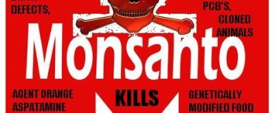 monsanto-kills-art-480x198