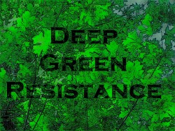 Maple Leaf Resistance 05