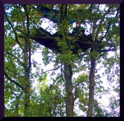 treehouse resists .Zad =ct 2012