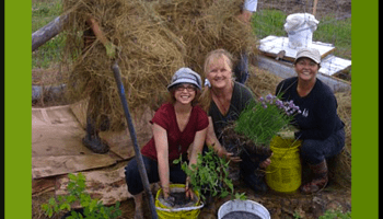 How to Do Permaculture: Free Download: Food Forest