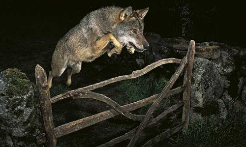 foto-j-luis-rodriguez