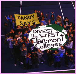 sandy says divest