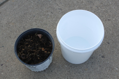 You need a big bucket and a few shovels of compost