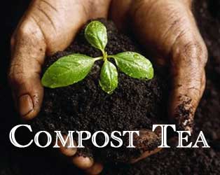 compost_tea
