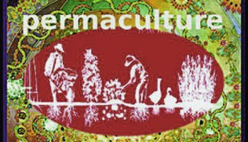 Permaculture Project: reinvent ourselves