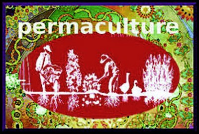 The Free best colour Jan22  2012. _Page_300_Image_0001