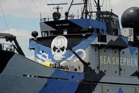 365810-le-bateau-steve-irwin-de-l-association-ecologique-americaine-sea-shepherd-le-7-decembre-2011-pres-de