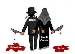 1235002_206839026150329_1285822279_n