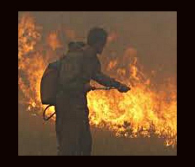 uncontrollable wildfires will rage across the planet