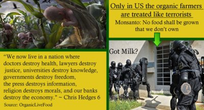 GMO-seeds-crops