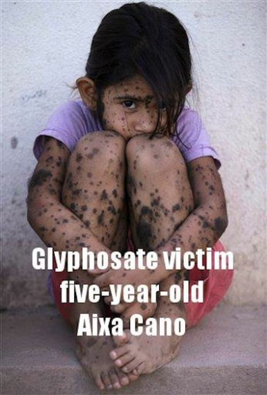 1383492_10151644216211386_1136164261_n1