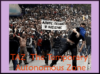 TAZ The Temporary Autonomous Zone