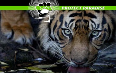 Protect-Paradise