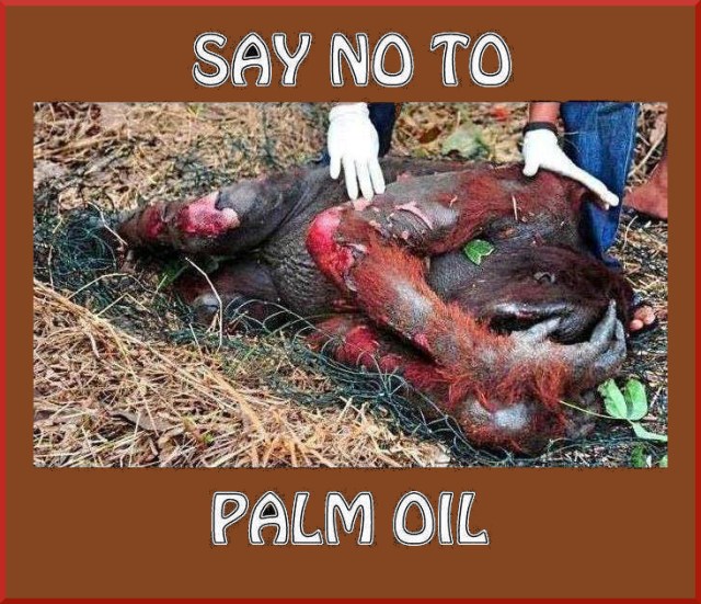 say no to palm oil