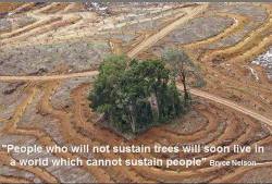 969867_527481777300428_1375242903_n