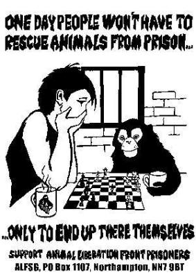 1012553_371179749687181_117916428058350084_n