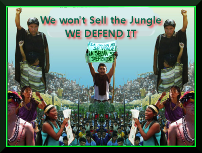 support bagua defendants