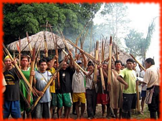 supportBagua defendants