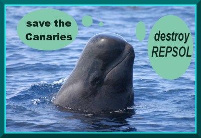 destroy repsol whale