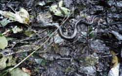 10380656_663357330412494_142501327768392504_o