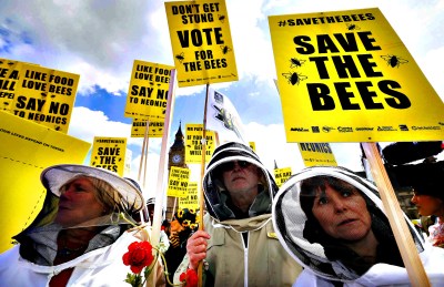 Beekeepers protest in Parliament Square to urge Britain's govern