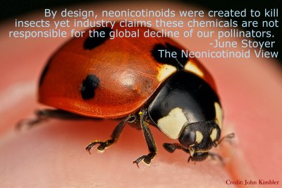 neonics