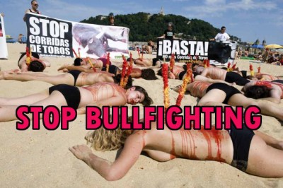 1313926259_extras_albumes_0