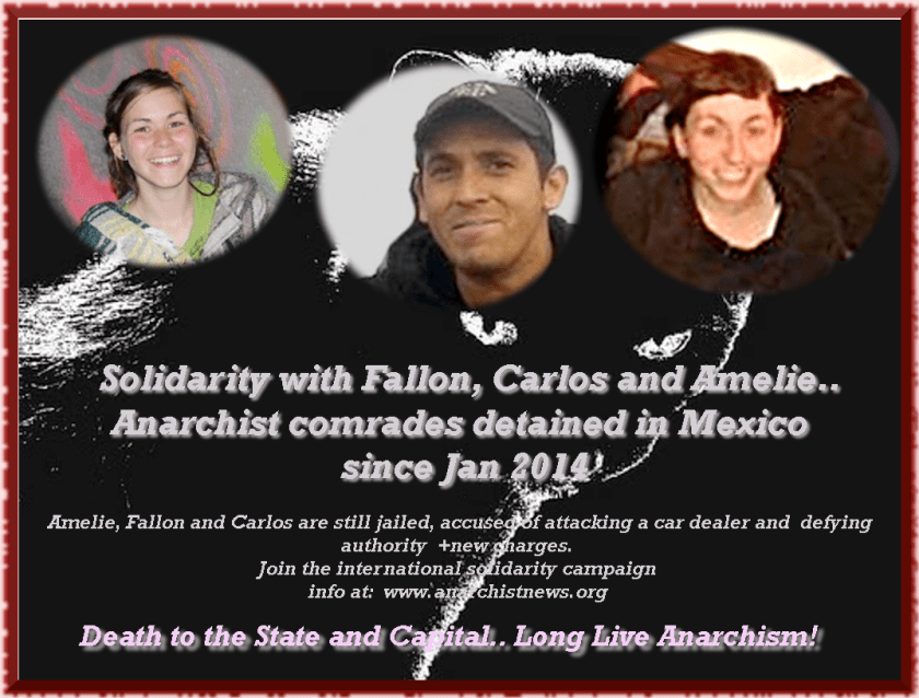 fallon carlos amelie2