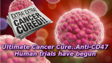 Cancer Cure.. Drug Destroys Tumours in Mice, Human Trials&nbsp;Begin