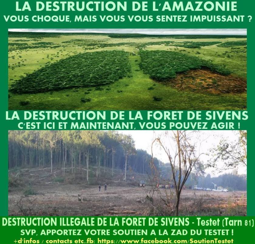 ob_838b19_10532420-520327928100374-2525080521791