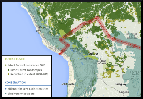 trans amazon railway plan