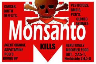 monsanto-kills-art