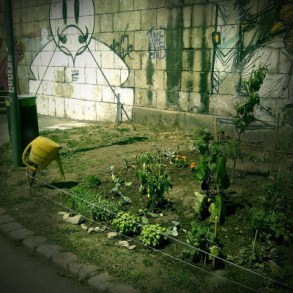 greek 'resilient village'