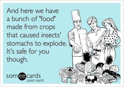 431706_10151174933203490_80972214_n