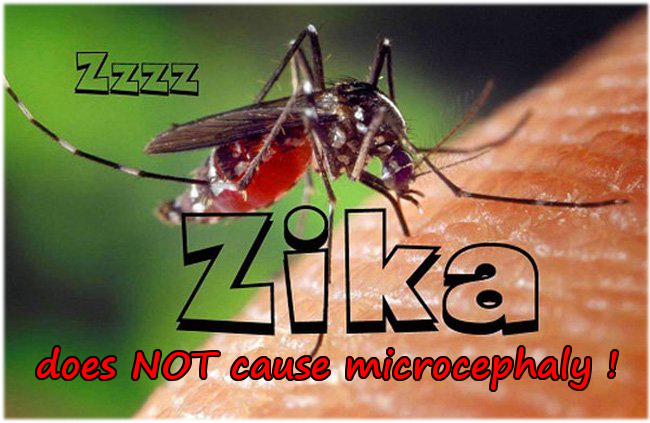 zika is harmless