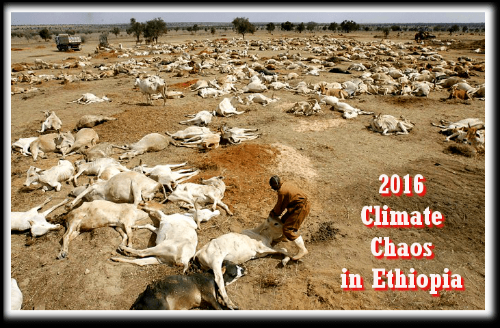 climate Chaos 2016