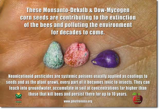 neonics_seeds_coated