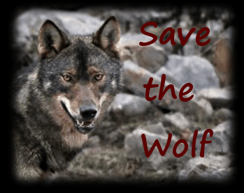 save the wolf