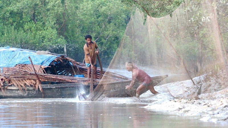 sundarbans2
