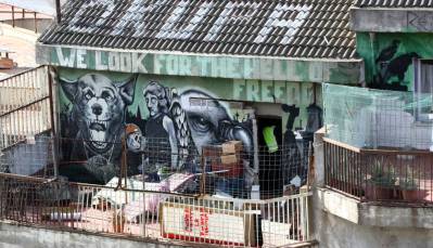 1460526919_503634_1460533694_noticia_normal