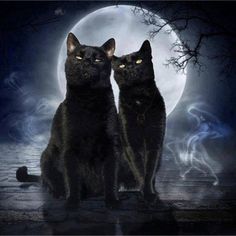 aa65fea8219704f72992b51ba6d94fe0