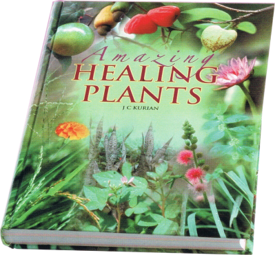 Amazing-Healing-Plants
