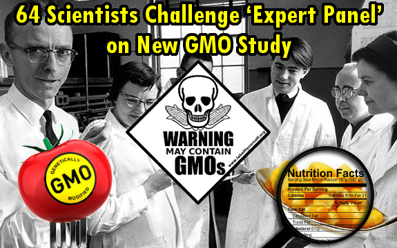 gmo_scientists_study