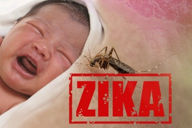 Typical Scare Mongering Photo: Health issue concept image of crying baby bitten by Aedes Aegypti mosquito as Zika Virus carrier